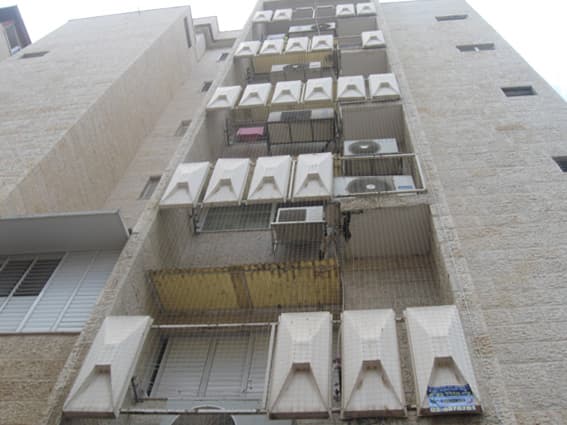 השפעת הכלכלה על הרחקת יונים