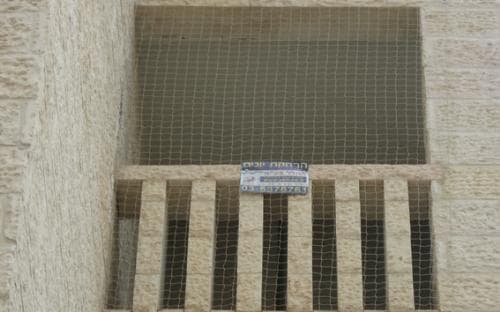 הרחקת יונים במודיעין
