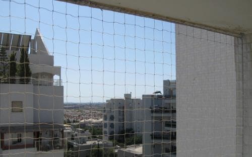 הרחקת יונים בראשון לציון