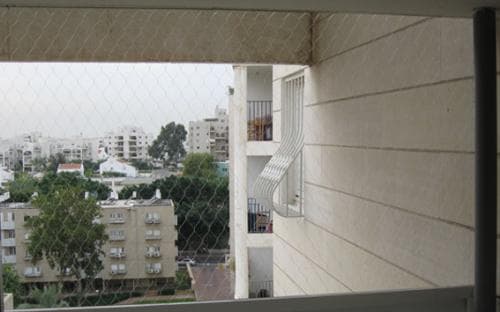 הרחקת יונים בתל אביב