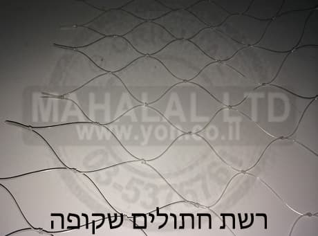 רשת חתולים שקופה