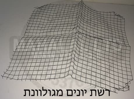 רשת יונים מגולוונת