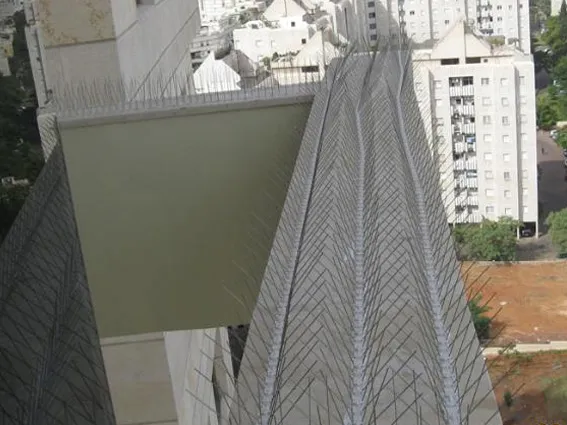 הרחקת יונים אלקטרונית