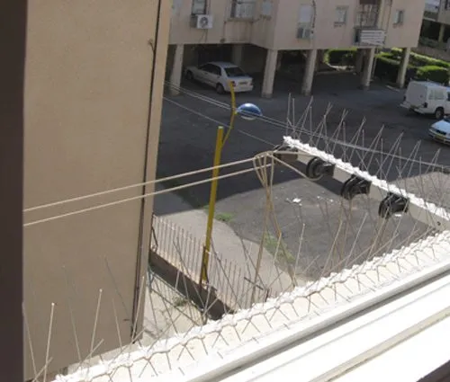 הרחקת יונים בהרצליה