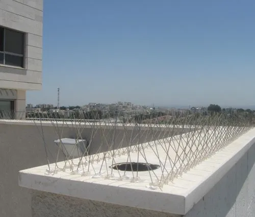 דוקרנים נגד יונים