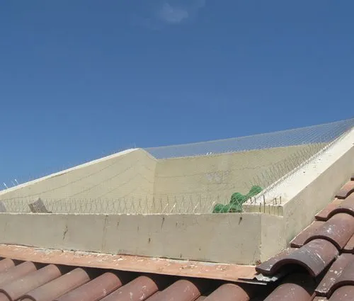 רשת נגד יונים