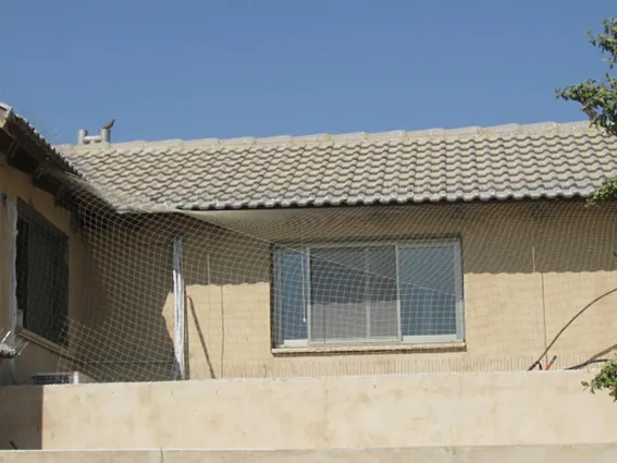 רשתות לחלונות מחיר