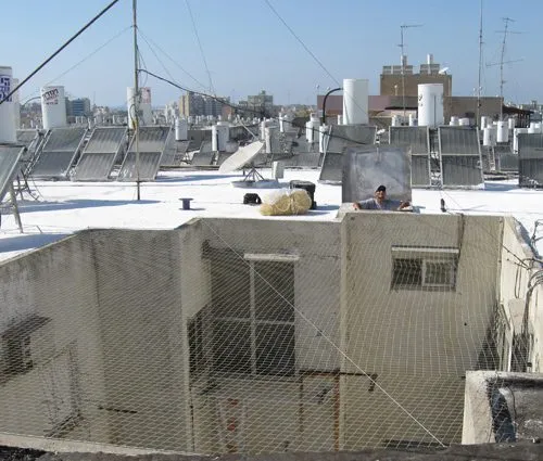 הרחקת יונים