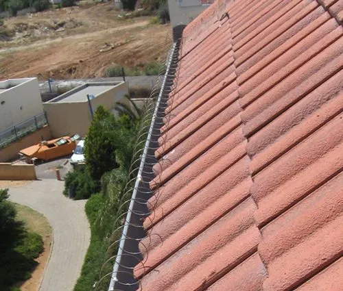 הרחקת יונים מגג רעפים