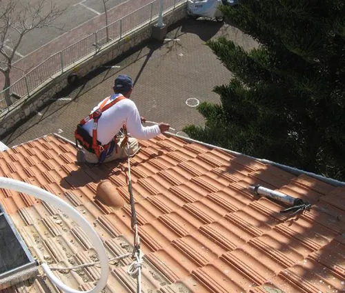 הדברת יונים