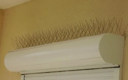 דוקרנים להרחקת יונים