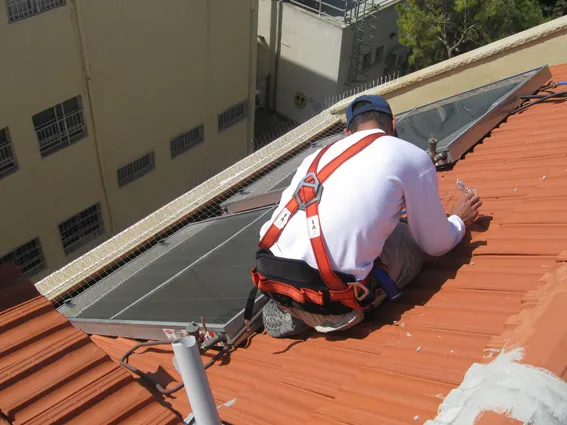 הרחקת יונים בקיץ