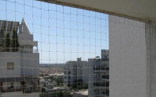 הרחקת יונים בראשון לציון