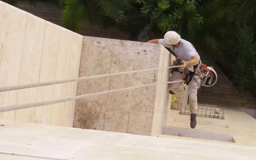 מרחיק יונים