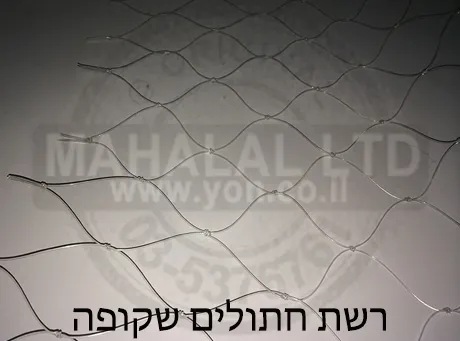 רשת חתולים שקופה