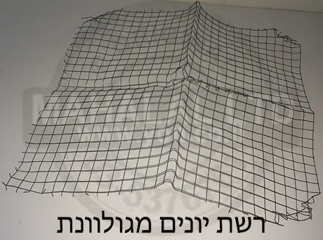 רשת יונים מגולוונת