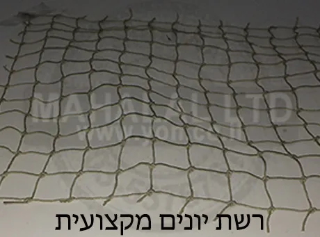 רשת יונים מקצועית