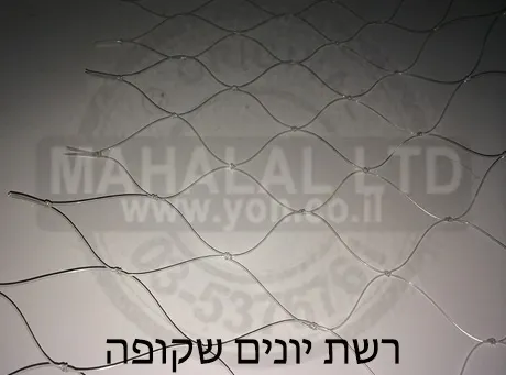 רשת יונים שקופה